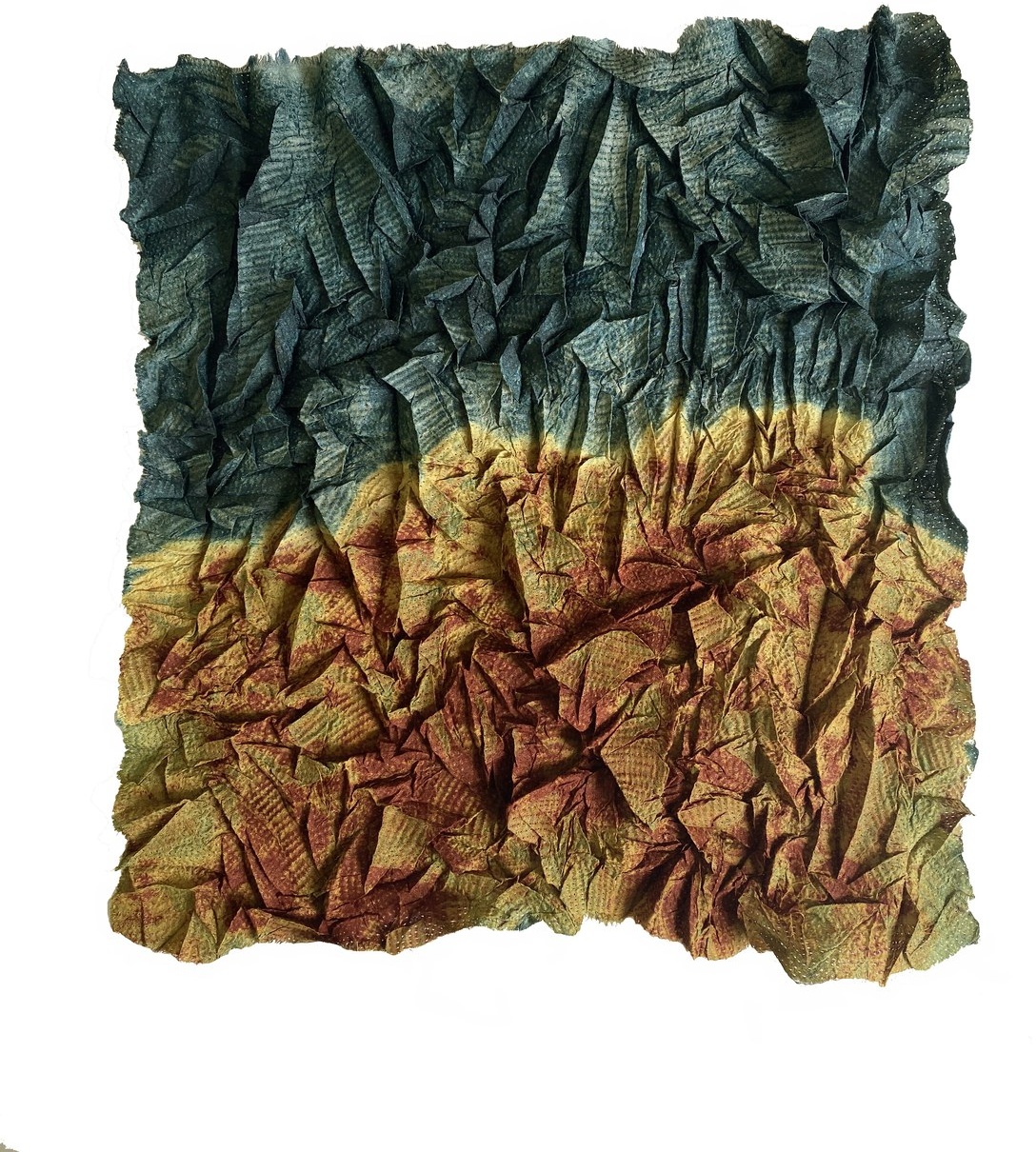 Forest Fire
